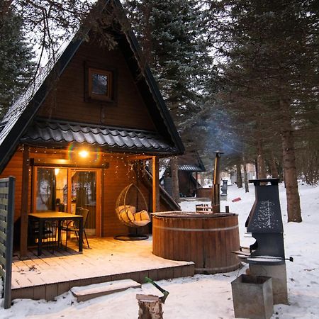 Oliwne Wzgorza Villa Stronie Slaskie Luaran gambar