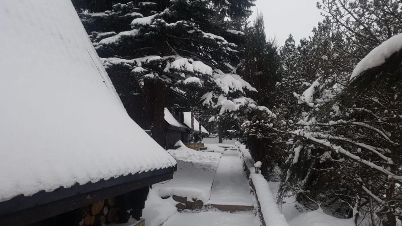 Oliwne Wzgorza Villa Stronie Slaskie Luaran gambar