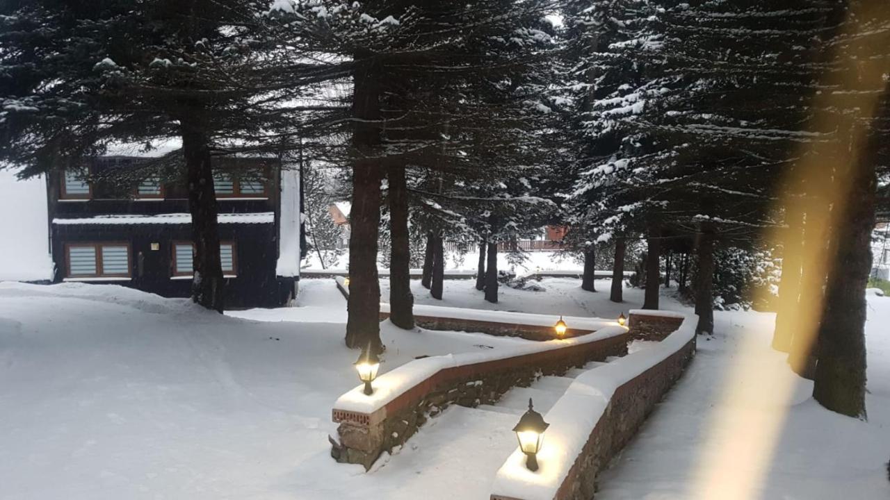 Oliwne Wzgorza Villa Stronie Slaskie Luaran gambar