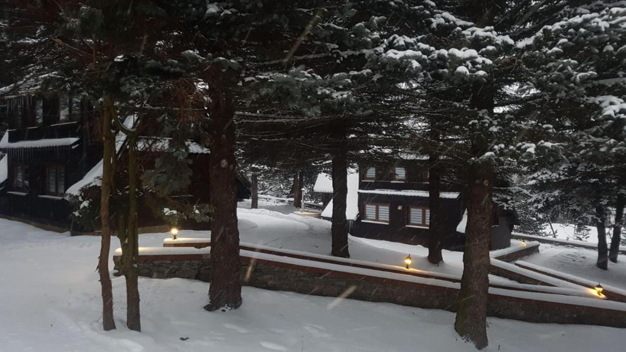 Oliwne Wzgorza Villa Stronie Slaskie Luaran gambar